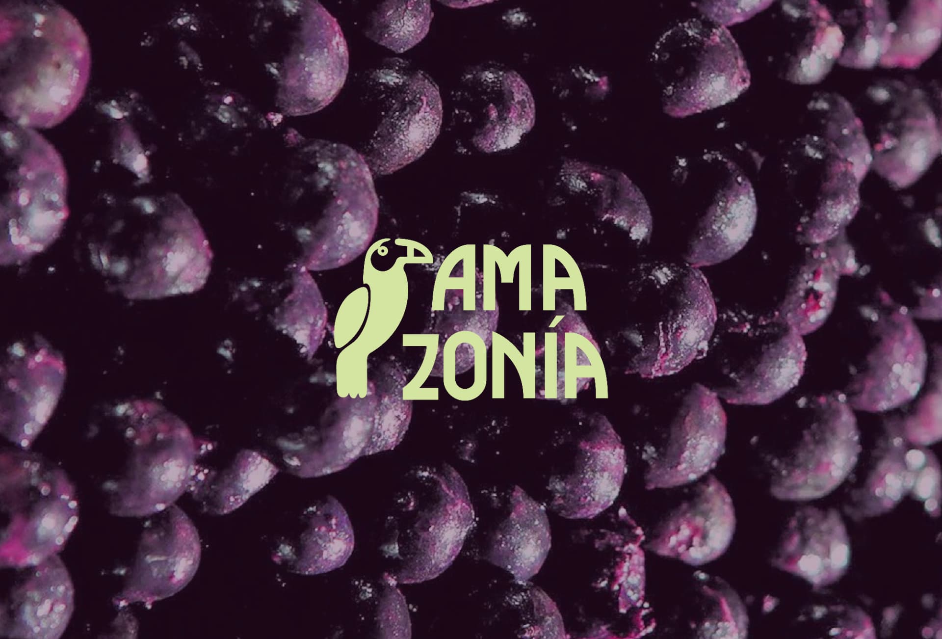 Logo AMAZONÍA sobre textura de açaí