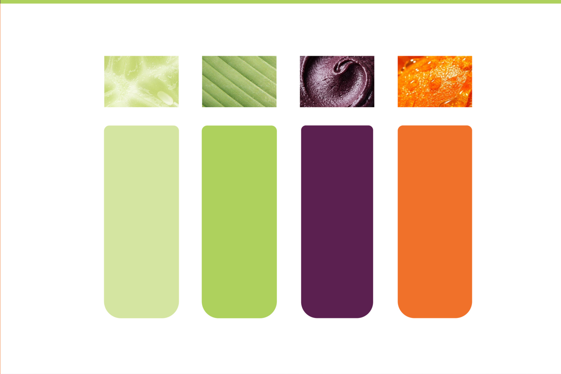 Paleta de color de AMAZONÍA