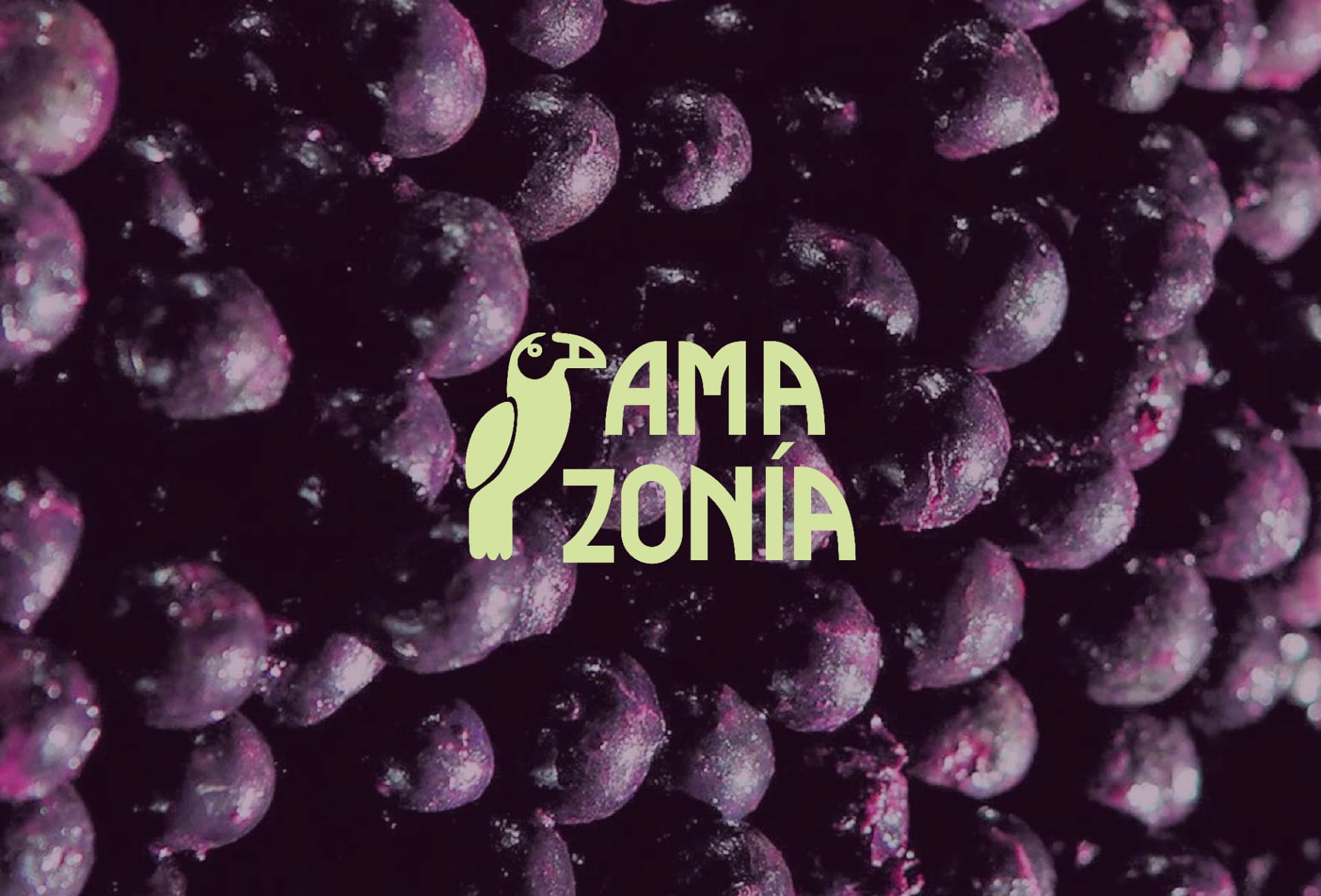 Logotipo AMAZONÍA sobre textura de açaí